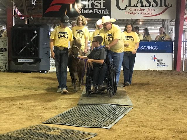 No Limits Livestock Show